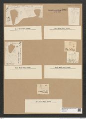 Diatomeae indet. (de-Toni-Nr.: Species 2959) Zeichnungen Sammlung Grunow Nr. 6064 (NHMW-BOT-W0374575)